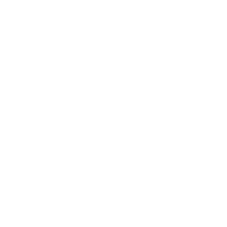 Medium Enterprises