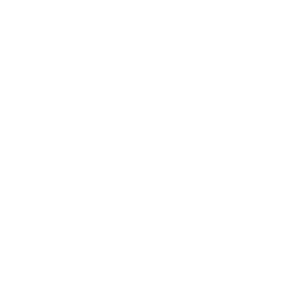 Large Enterprises