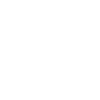 Startup Enterprises